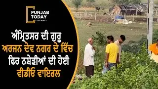 video of drug addicts in Amritsar's Guru Arjan Dev Nagar has gone viral| Punjab Today