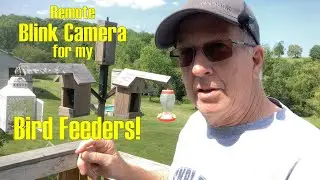 Blink Camera Remote Bird Watching