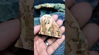 Beautiful Slab 🤩 #jasper #gemstone #cabochon #agate #crystals #gemstonejewelry #preciousgems