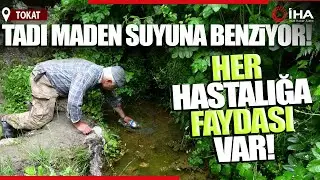 Sarılık Hastaları Şifayı Bu Suda Arıyor