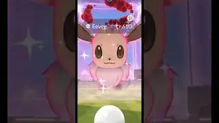 ✨SHINY DYMAMAX EEVEE✨