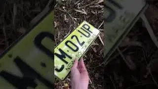 Come On Up! NSW NUMBER PLATE FIND😱 2 in 1 find
