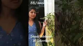 #shorts #Ranchi #Dhunki #celebration # 1KSubscriber BBJ💋 #viral #food #treanding