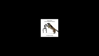 Training the Future: Robot Dogs Join the Herd | AI Shepherd Series