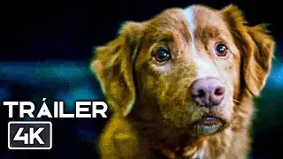 GOOD BOY Tr&aacute;iler Oficial Espa&ntilde;ol Latino (2025) Terror