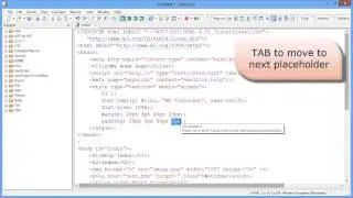 EmEditor Professional Snippets plug-in [HD]