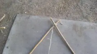 Live bird trap