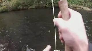 Coastal Coho on the fly
