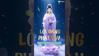Lời V&agrave;ng Phật dạy 🙏🏻#hocphat #loiphatday #baihoccuocsong -#niemphatanlac16