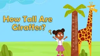 How Tall Are Giraffes? | Facts About Giraffes | Animal Facts for Kids | Science Facts For Kids