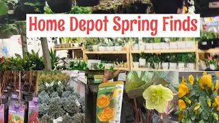 Home Depot Spring 2025 Garden Tour 🌸Beautiful Roses & New Plants! NewYork Zone 7A