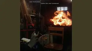 Tastes Like Your Basement