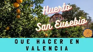 Que hacer en Valencia hoy - What to do in Valencia today: Huerto San Eusebio