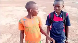 Petit iba 2021