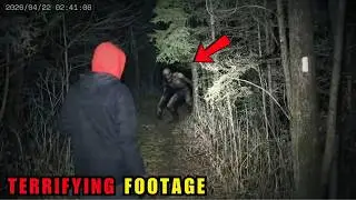 9 САМЫХ ШОКИРУЮЩИХ ВСТРЕЧ В ДИКОЙ ПРИРОДЕ, ЗАПЕЧАТЛЕННЫХ НА КАМЕРУ