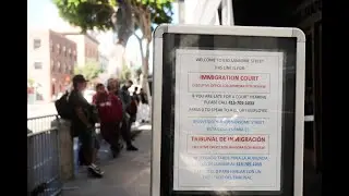&lsquo;Dysfunctional&rsquo; immigration courts need money, judges