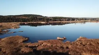 - The Swedish Landscape -