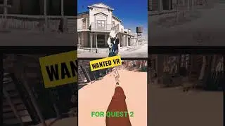 Meta Quest 2: Wanted VR game
