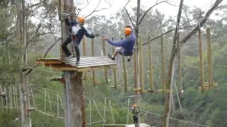 Tag Team Tree Adventures