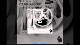 Wigflip - The Dow [Mind Field Records]