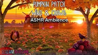 ASMR 🎧 Autumn Pumpkin Patch Ambience 🎃 Fall Ambiance 🍂 Wind, Crow & Farm Sounds, Focus Meditation