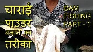 चाराई  पाउडर  बनाने का  तरीका Dam Fishing Tips Technique Rohu Primitive Fishing Video