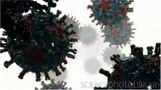 Rotavirus.mov