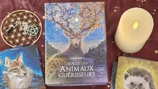 Oracle Des Animaux Guérisseurs de Verena Wild
