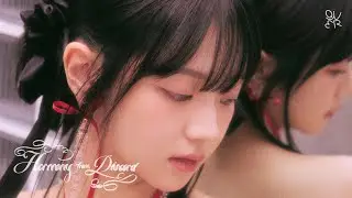 QWER - Harmony from Discord [Q] CHODAN