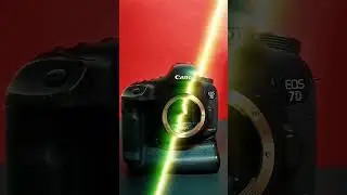 canon 7d mark II (10fps) vs 1dx fps (12 & 14 fps)