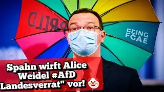 Spahn wirft Alice Weidel #AfD 
