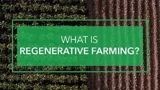 What Is Regenerative Farming?