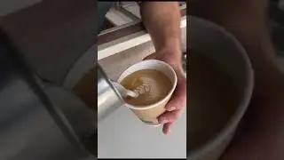 Walk Around Labarista