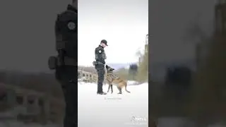 Tactical - K9 - Dog 🤘Hand Signal