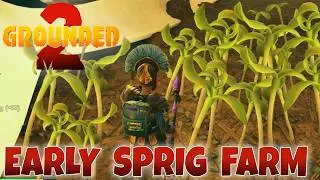 Early Game Sprig Farming Guide in Grounded 2