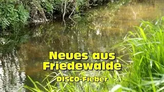 Neues aus Friedewalde DISCO-Fieber