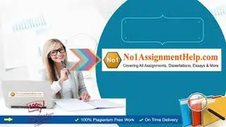 Professional Case Study Writers