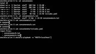 template module execution and verification