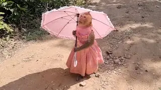 Nasty Princess Shally Reacts To Mommy Laughing