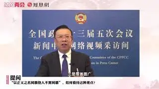 2022 China Two Sessions - Combatting Cyber Violence and Underground Industry 人大代表皮剑龙: 打击网络暴力背后黑产业链