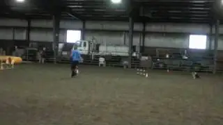 Preston and Riot AAC trial