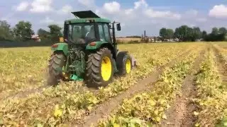 ESTIRPATURA FAGIOLI NANI CON JOHN DEERE 6200 #2