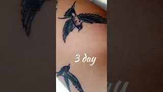 TATTOO healing process