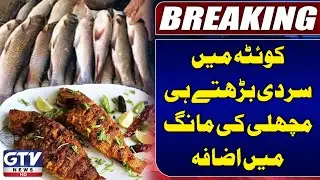 Fish Demand Increases in Quetta As Cold Weather Arrives | Winter Season 2024 | Breaking News