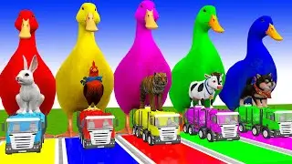 Long Slide Game with Cow Elephant Gorilla Hippopotamus Tiger 3d Animal Game Funny 3d Animals