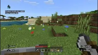 Minecraft_20260116174741