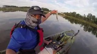 Perception Striker 11.5 Kayak Quick Short & Quick Test