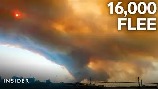 Families Risk Scary Evacuations As Wildfire Rages In Nova Scotia | Insider News
