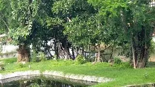 manila Zoo  #highlights #manilazoo #familyblessingtime