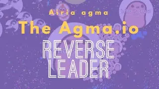 The Agma.io reverse 🧨leader🧨